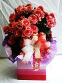 begônia rosa