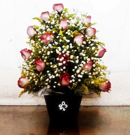 arranjo de rosas nicolli