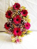 arranjos de gerberas pink