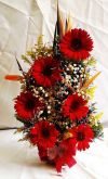 arranjos de gerberas com estrelizas