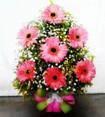 arranjos de gerbera rosa