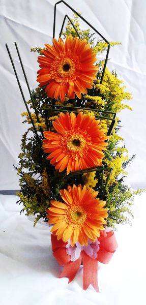 gerberas laranjas