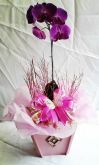 orquídeas
